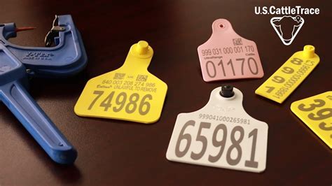 high frequency rfid tags for cattle|usda official identification for cattle.